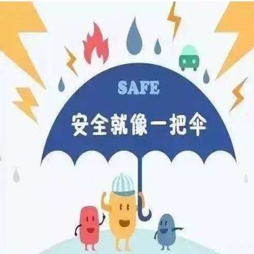 体育赛事安全预案