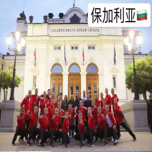 团队在保加利亚